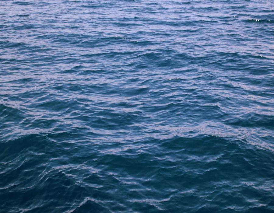 Microsoft Flight Simulator