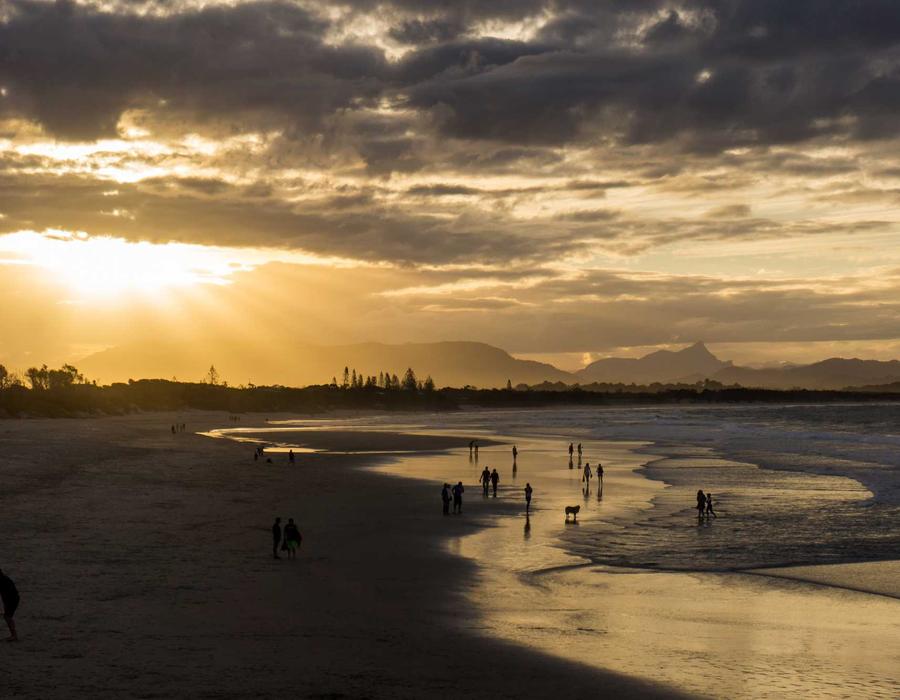 Panasonic MZ1500 55"